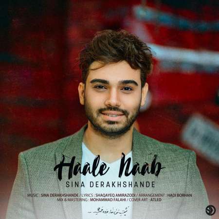 Sina Derakhshande – Hale Naab